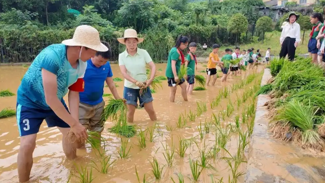 劳作项目学生们的着手才能创新意识和责任担任得到了全面提高